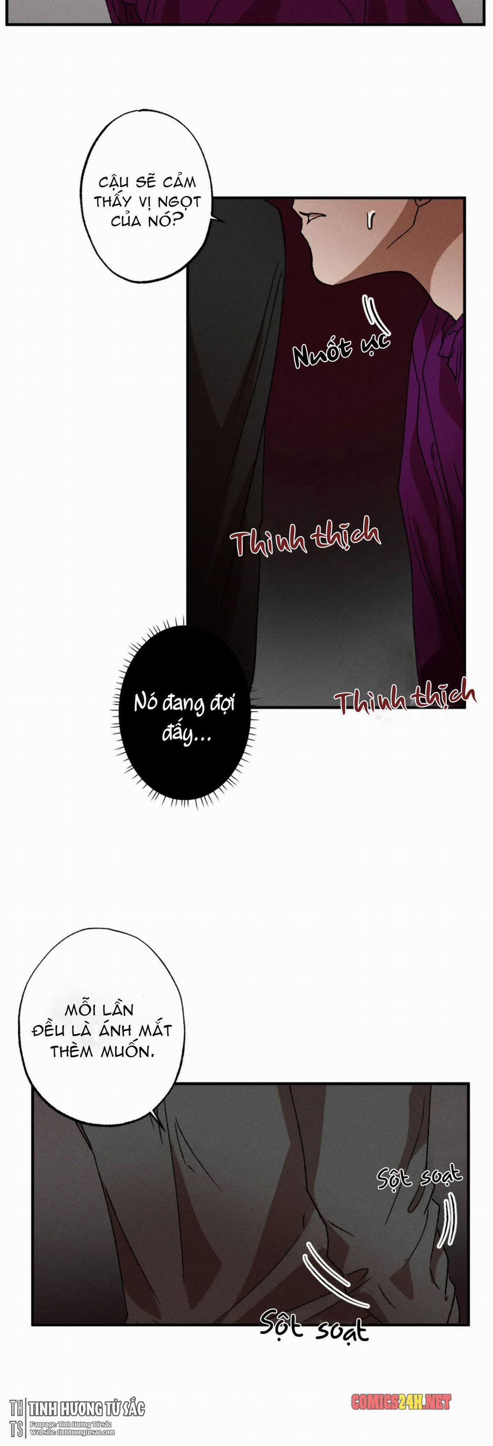 Bẫy Kép 19 trang 19