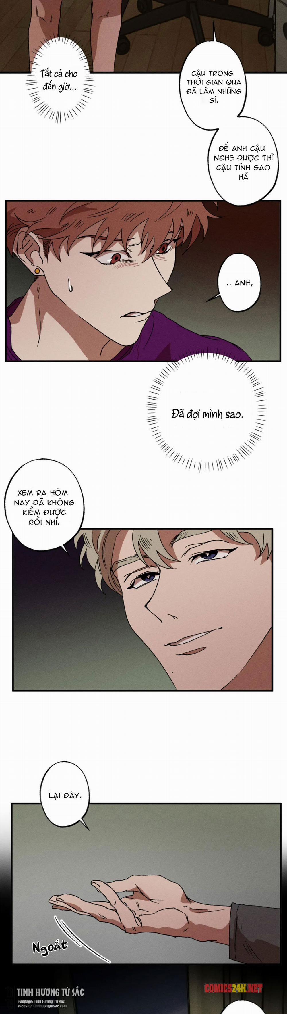 Bẫy Kép 19 trang 8