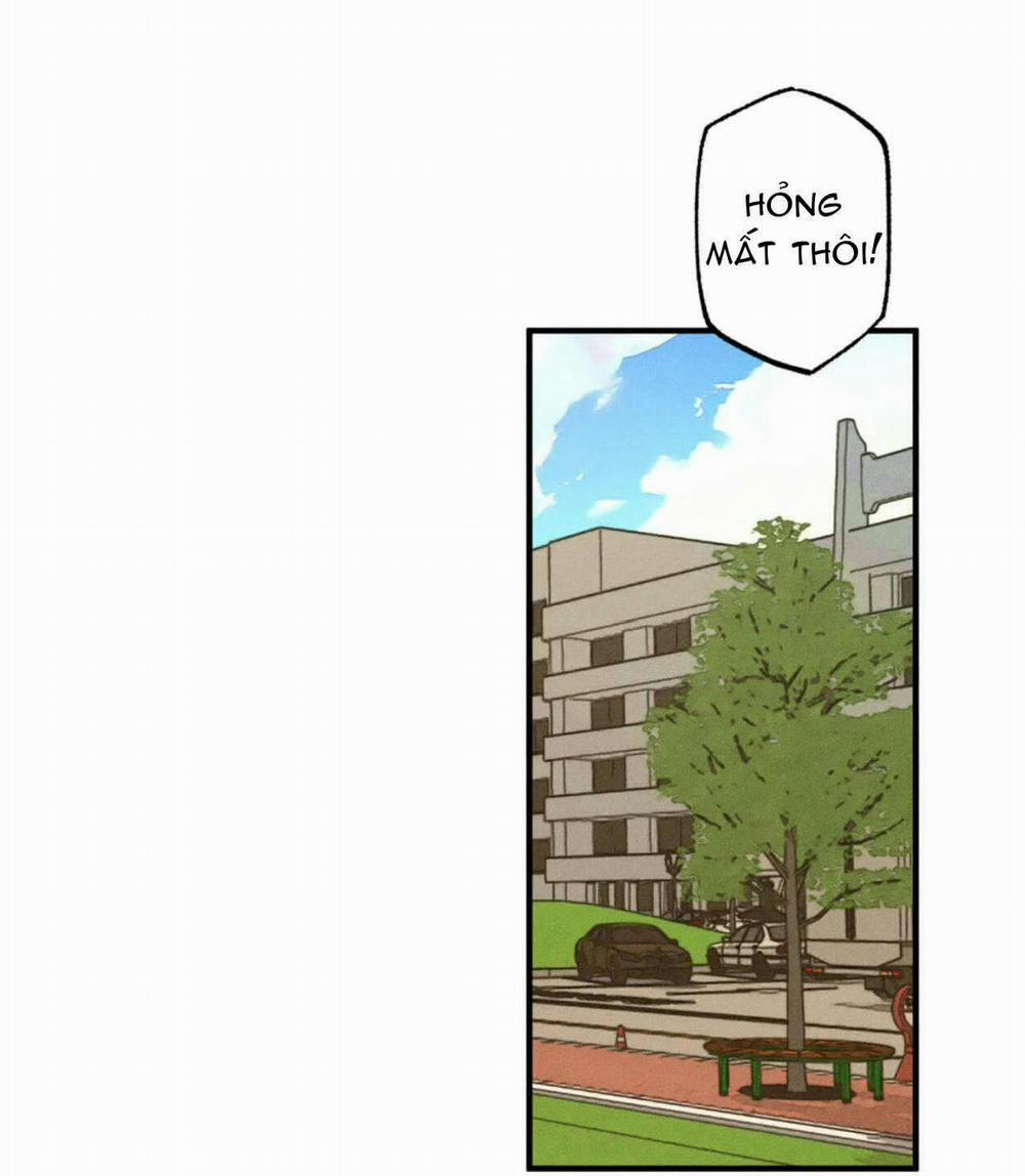 Bẫy Kép 21 trang 19