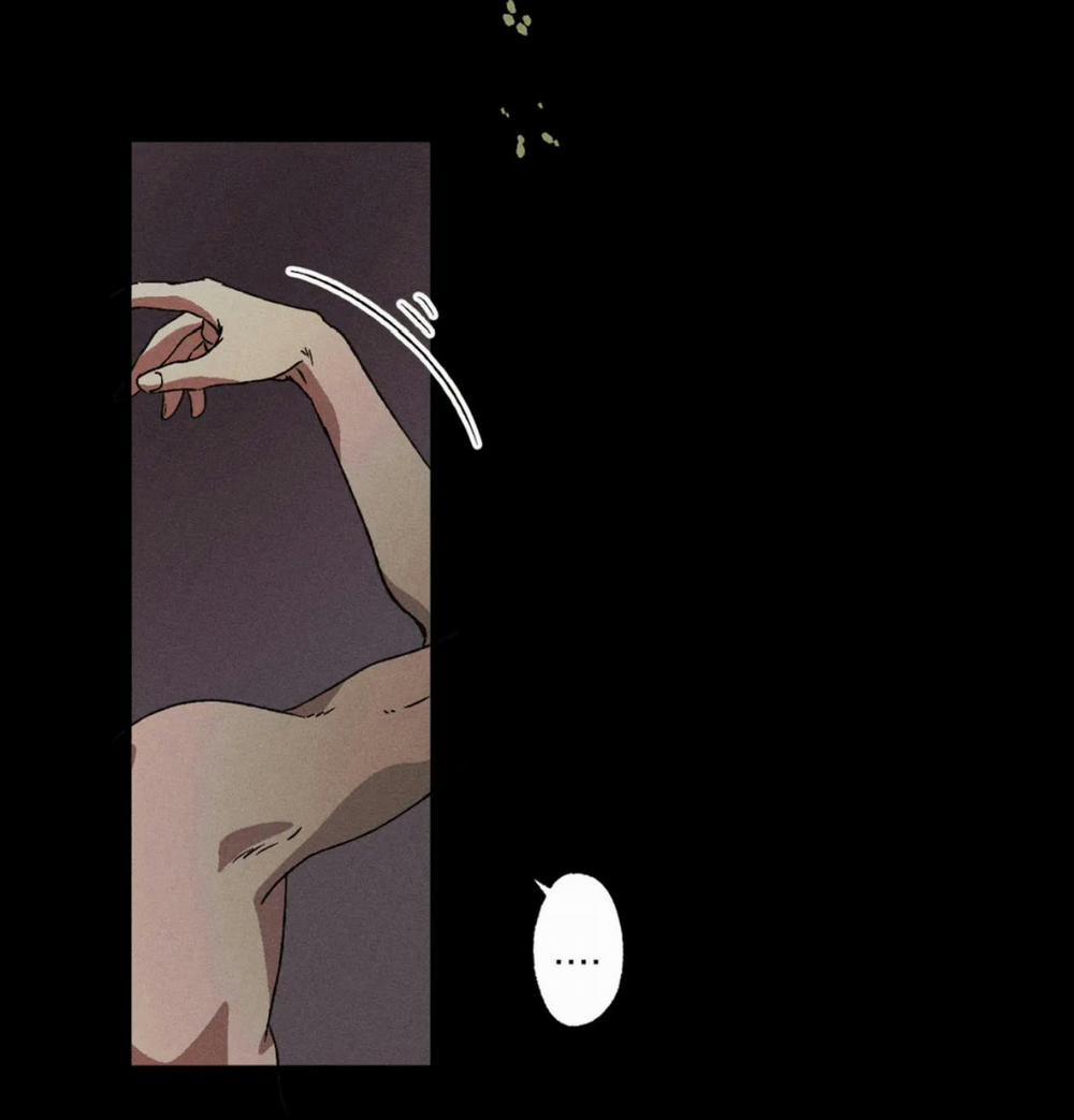 Bẫy Kép 25 trang 11