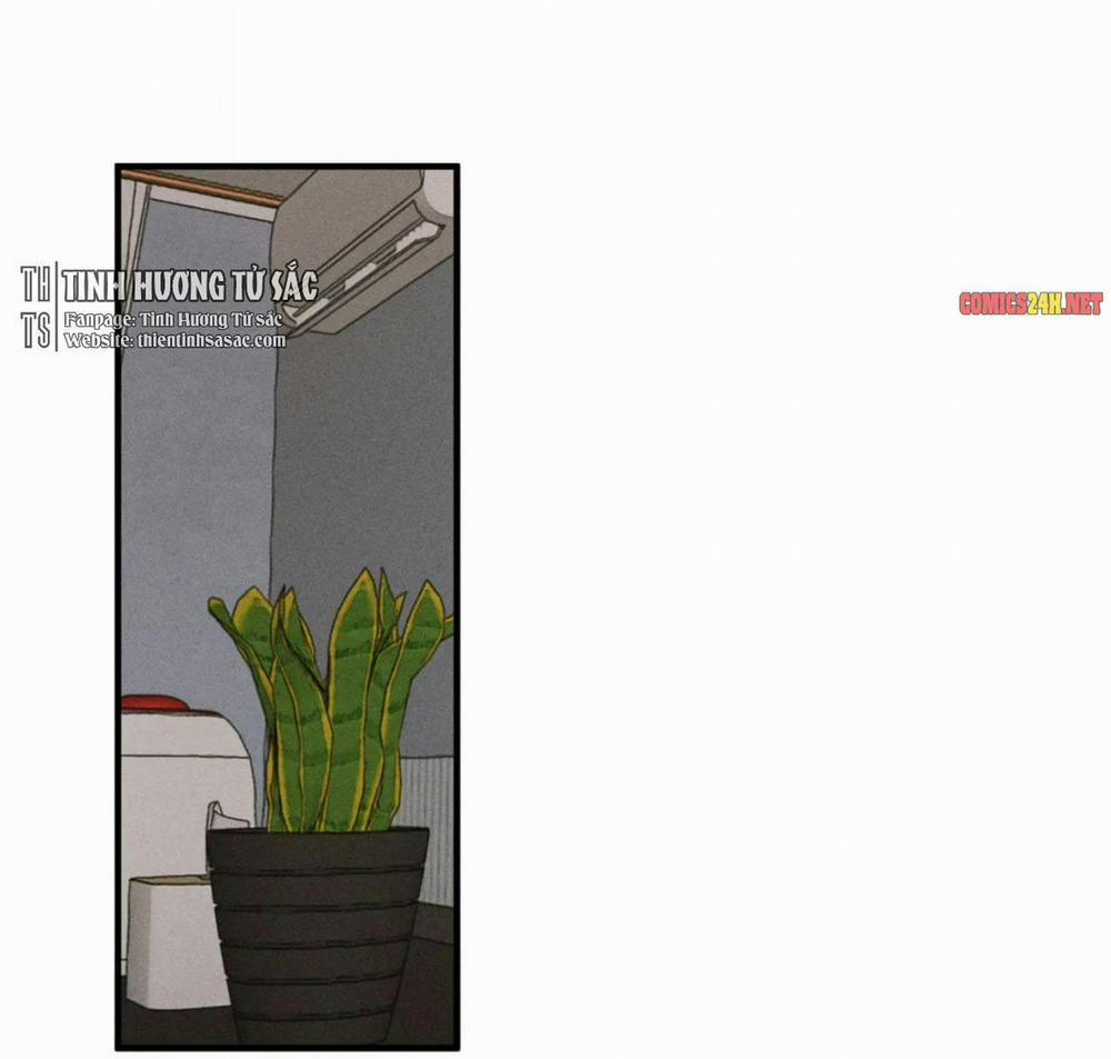 Bẫy Kép 26 trang 47