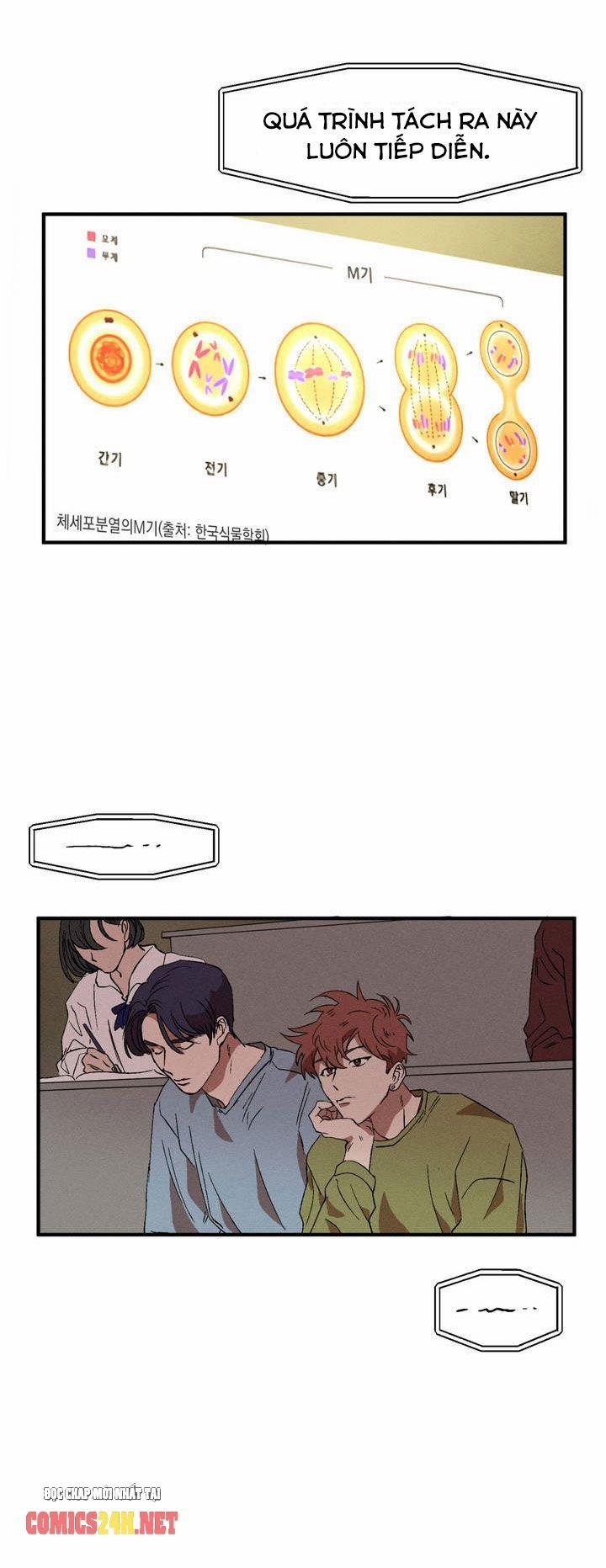 Bẫy Kép 9 trang 12