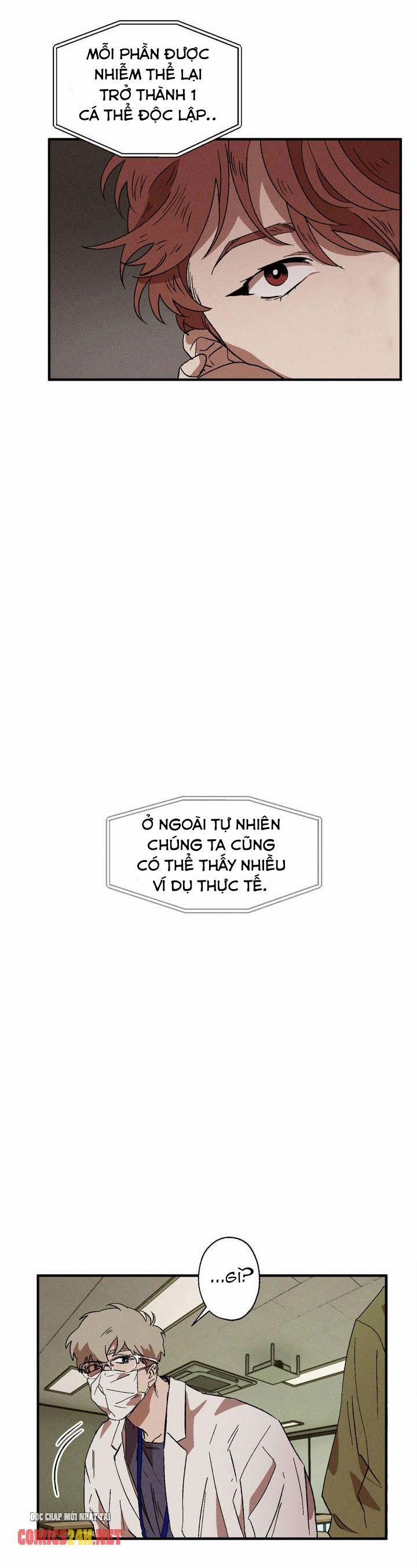 Bẫy Kép 9 trang 13