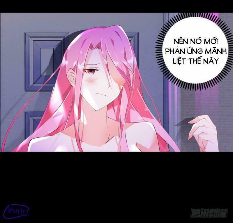 Bảy Ngày Thực Cốt Hôn Ước 7 trang 5