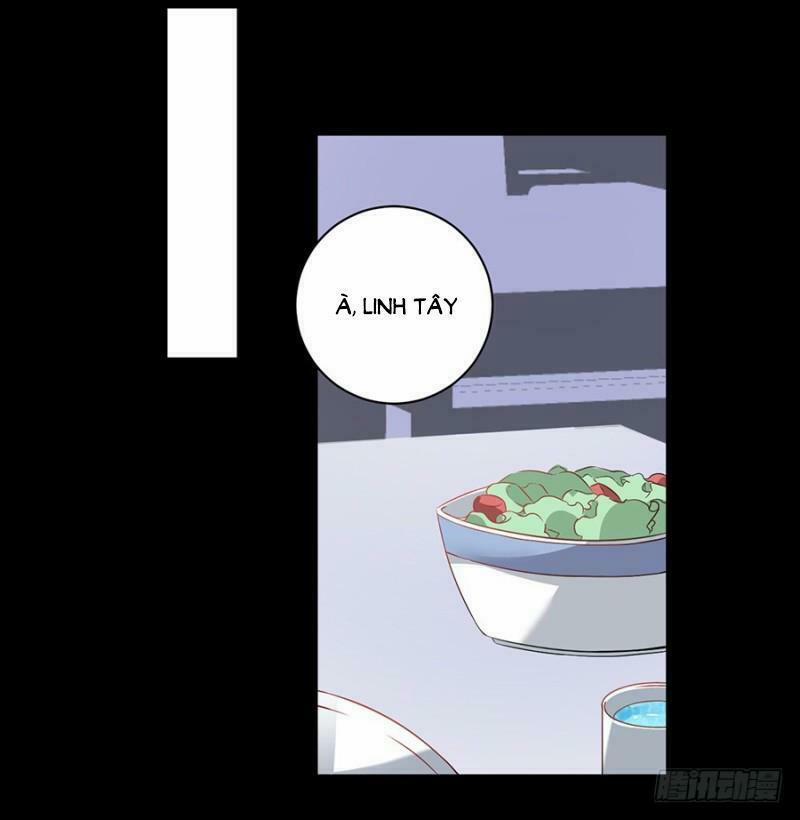 Bảy Ngày Thực Cốt Hôn Ước 9 trang 14