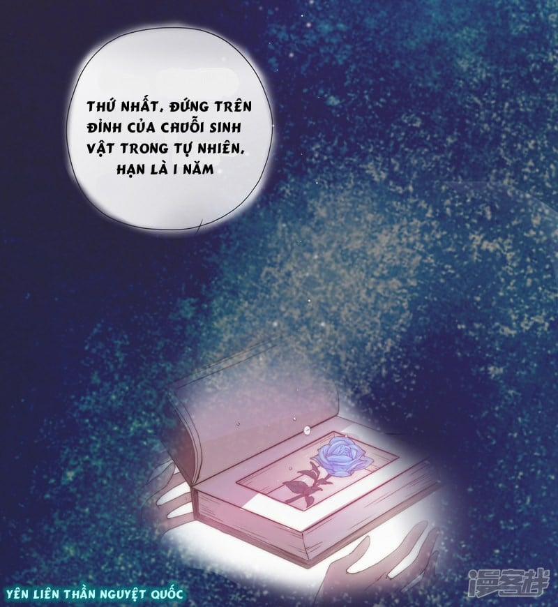 Bẫy Rập Hoa Hồng 3 trang 2