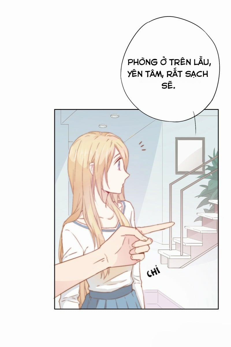 Bẫy Rập Hoa Hồng 4 trang 28