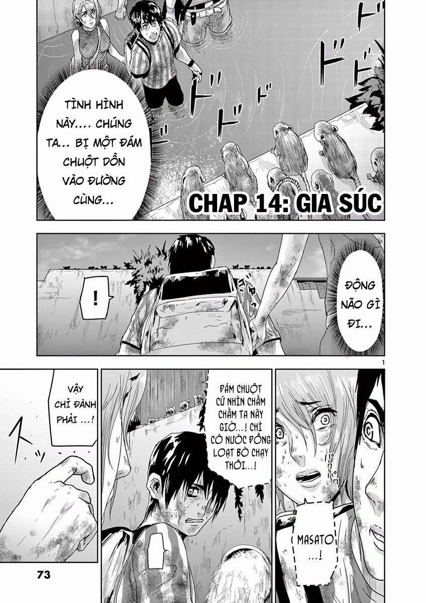 Bầy Thú Mặt Người 14 trang 0