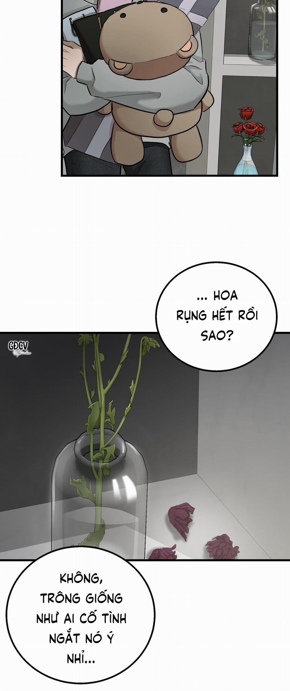 BÊ BỐI THÔI MIÊN 2 trang 27