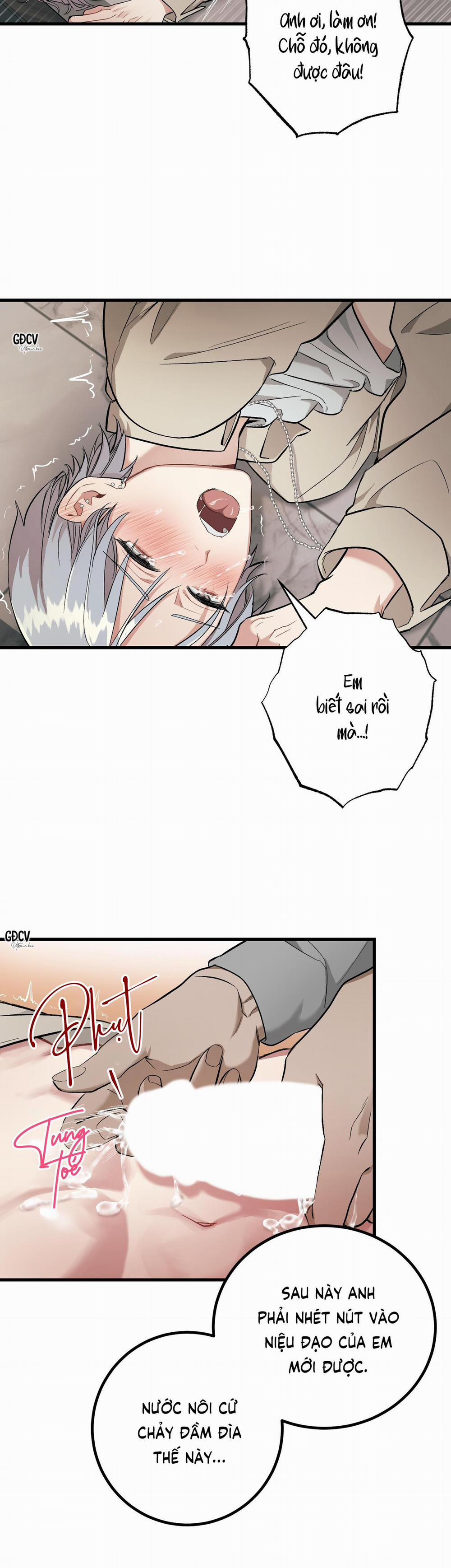 BÊ BỐI THÔI MIÊN 3 0 trang 24