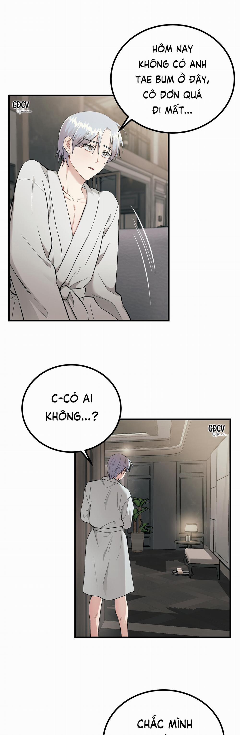 BÊ BỐI THÔI MIÊN 5 trang 28