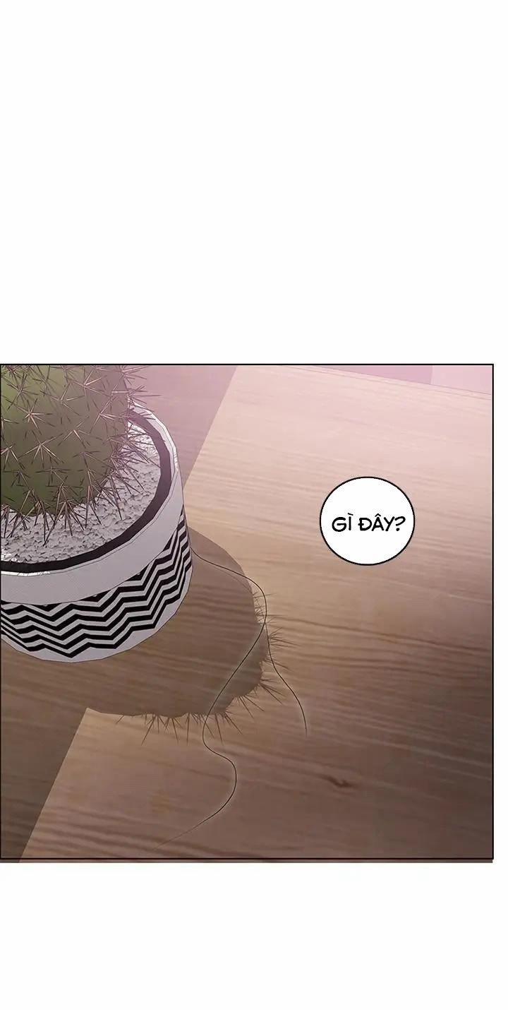 Bể Bơi Ướt Át 20 trang 14