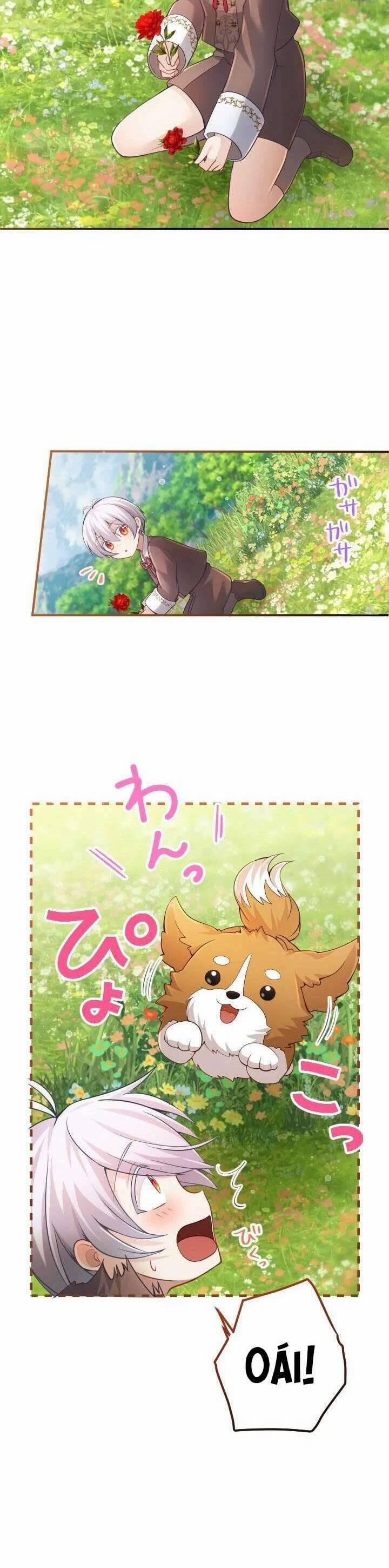 Bệ Hạ À, Từ Giờ Tôi Sẽ Nuôi Dưỡng Thằng Bé 19 trang 17