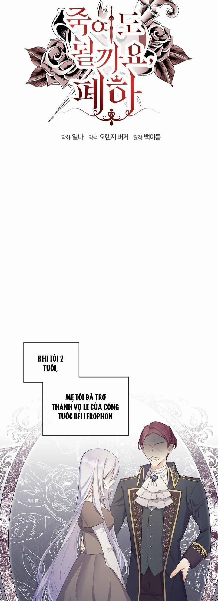 Bệ Hạ, Tôi Sẽ Giết Ngài! 1 trang 19