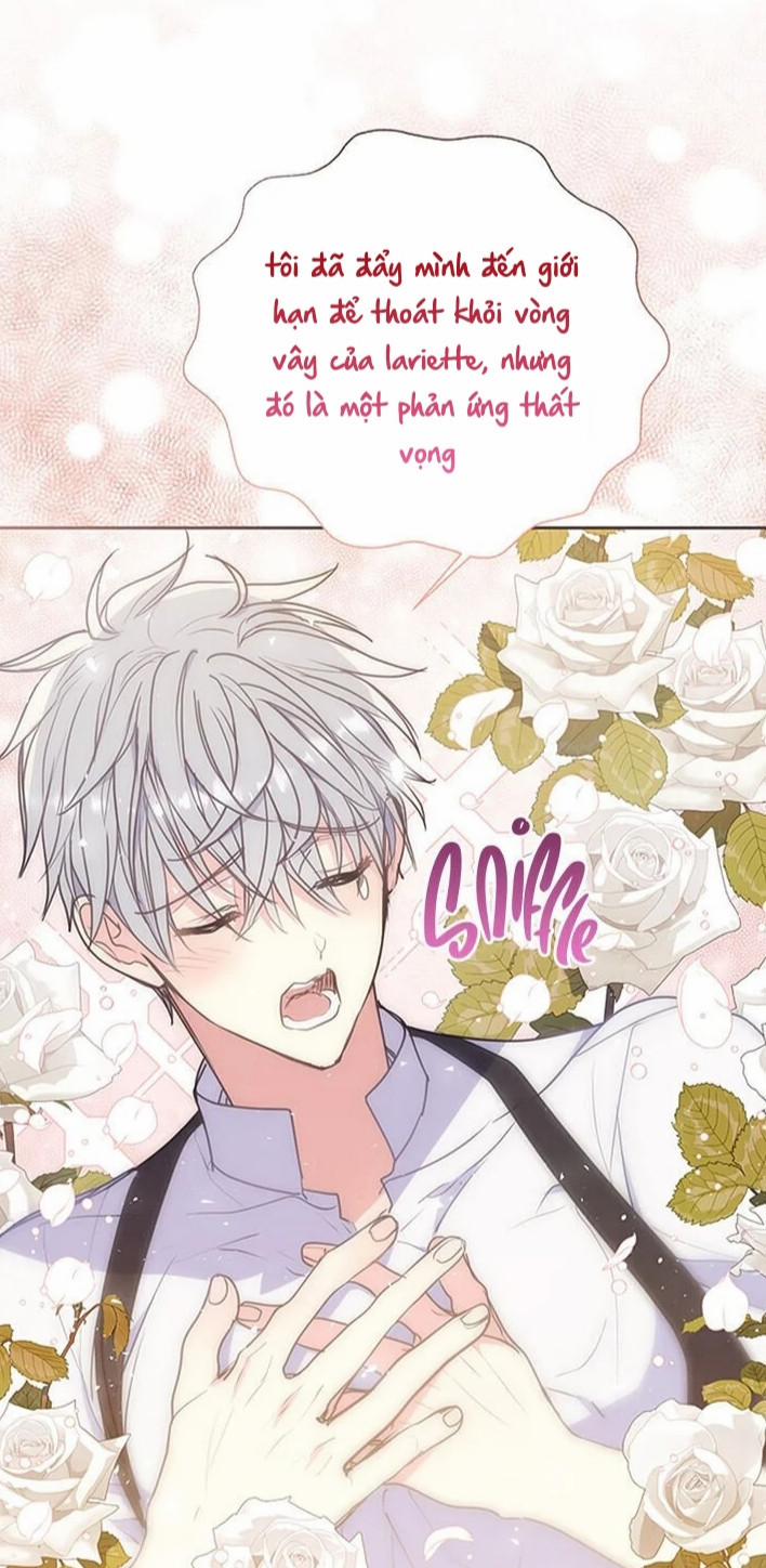 Bệ Hạ,xin Đừng Giết Tôi!! 71 trang 10