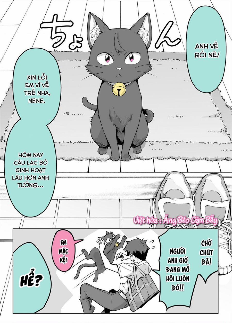 Bé Mèo Yandere Của Tôi Yêu Tôi Rất Nhiều 1 trang 0