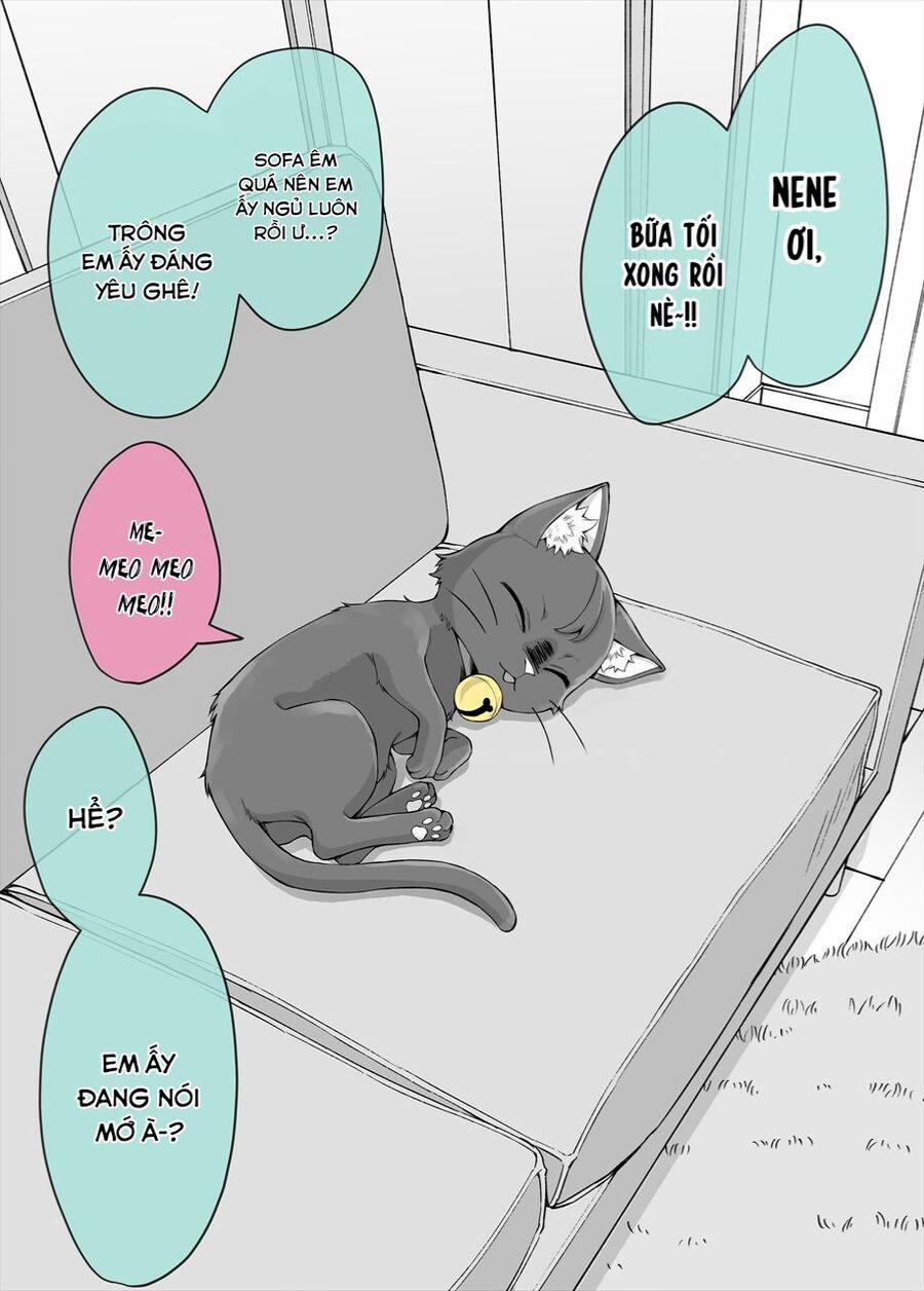Bé Mèo Yandere Của Tôi Yêu Tôi Rất Nhiều 5 trang 0