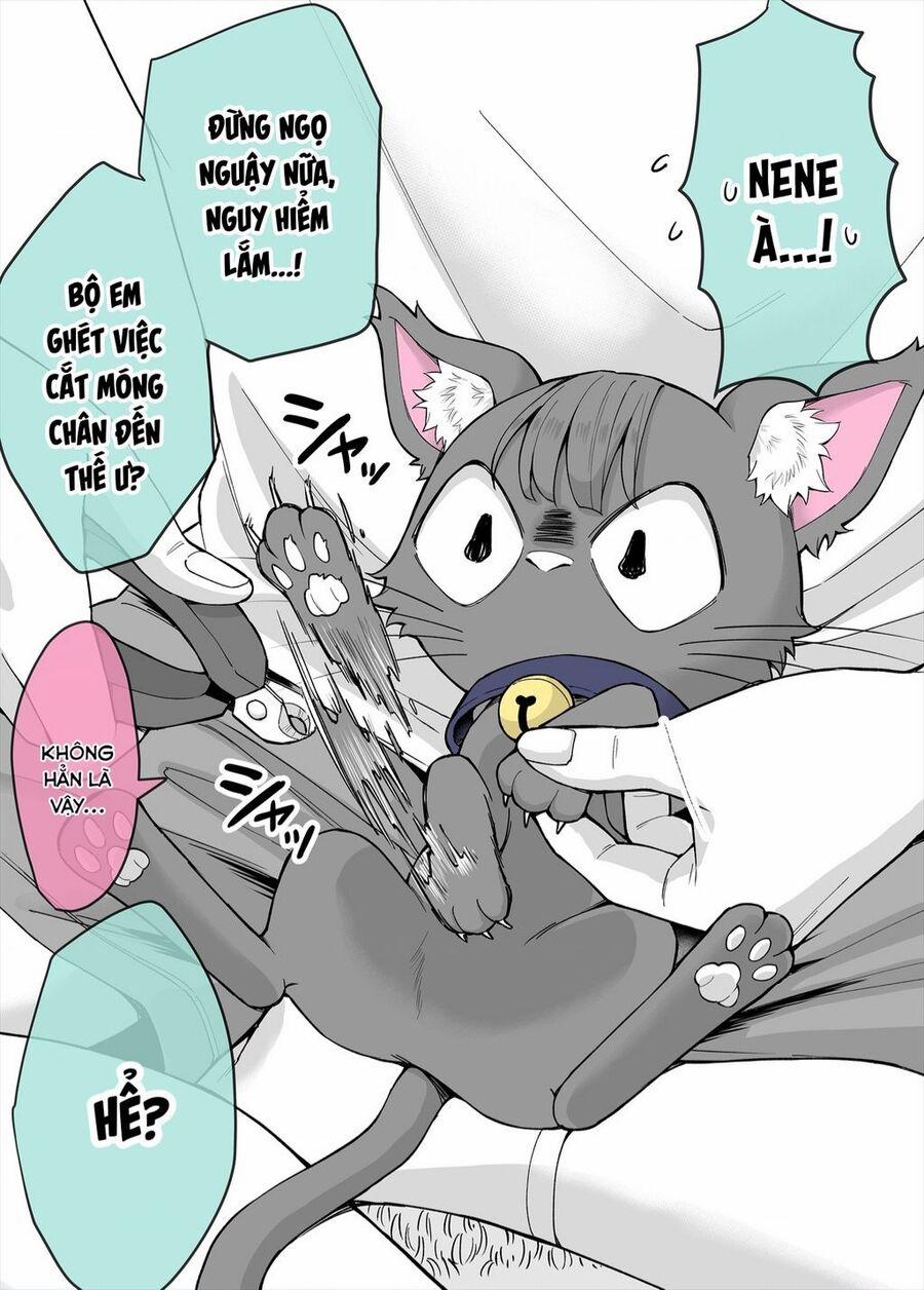 Bé Mèo Yandere Của Tôi Yêu Tôi Rất Nhiều 7 trang 0