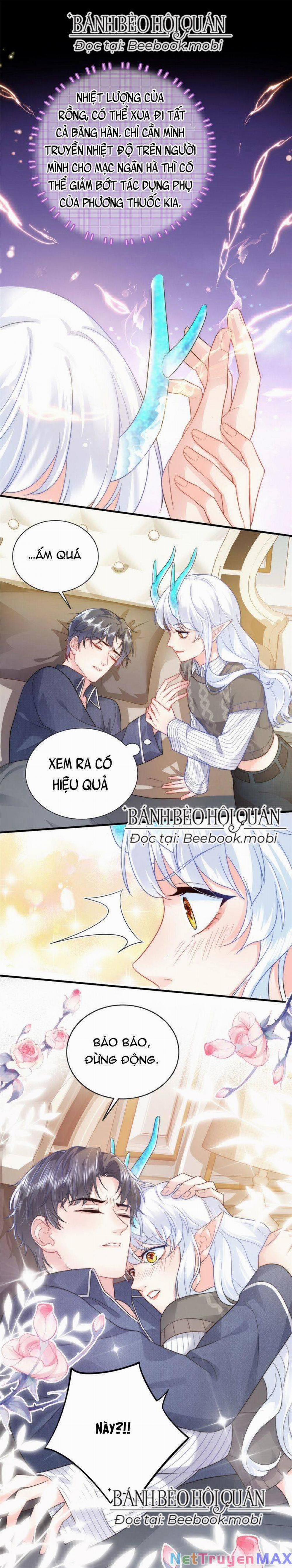 Bé Rồng Đột Kích! Mami Vừa Cay Vừa Độc 10 trang 1