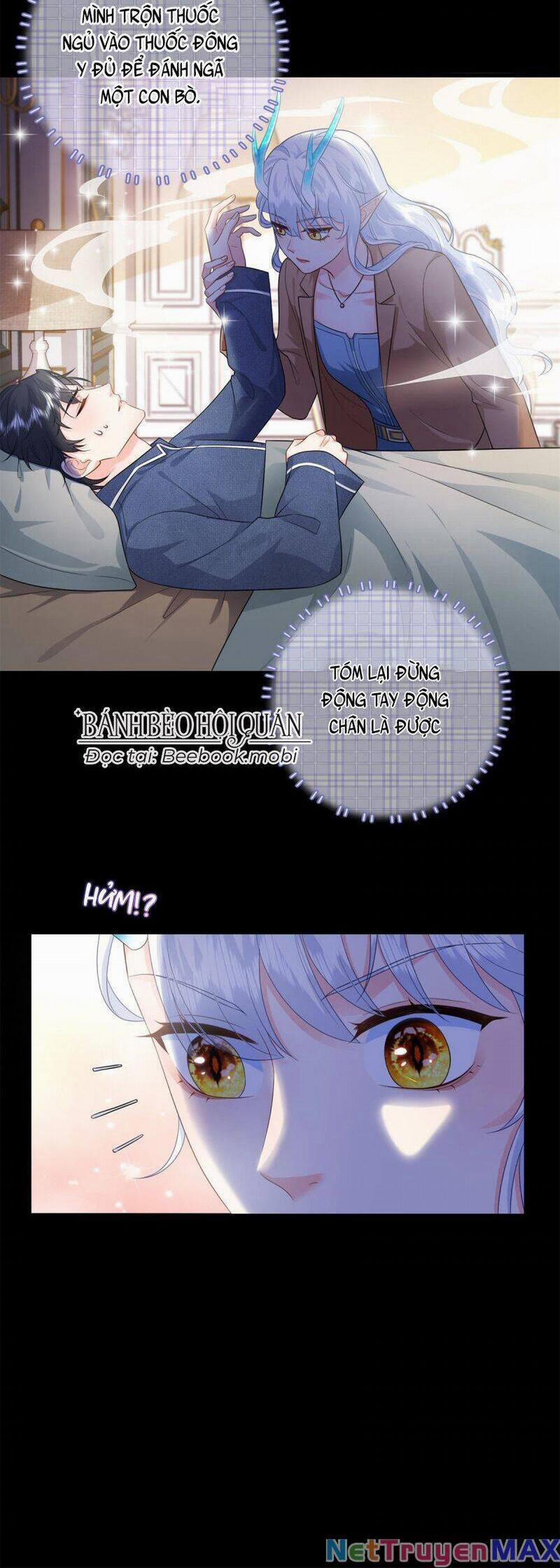 Bé Rồng Đột Kích! Mami Vừa Cay Vừa Độc 14 trang 14