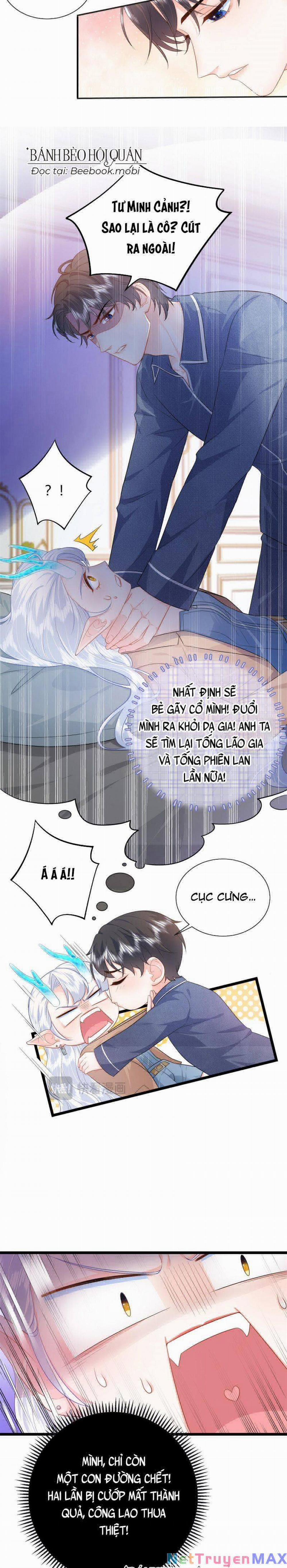 Bé Rồng Đột Kích! Mami Vừa Cay Vừa Độc 15 trang 5