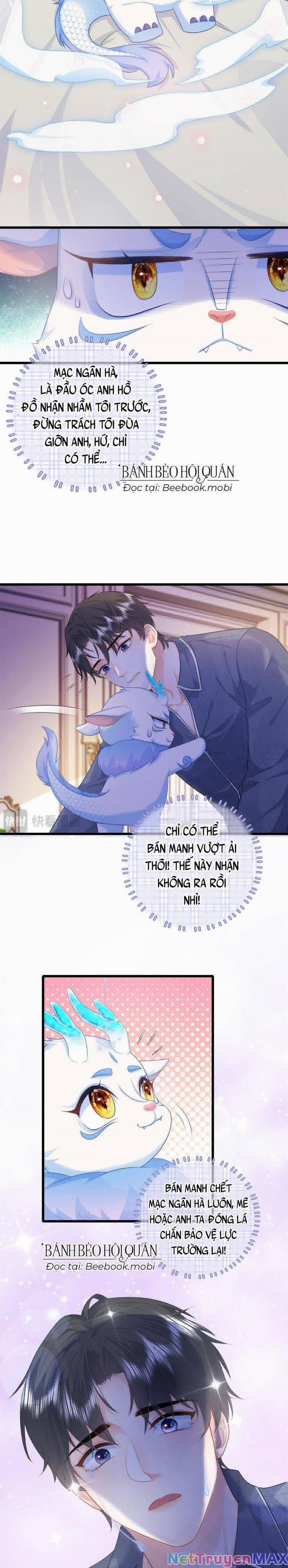 Bé Rồng Đột Kích! Mami Vừa Cay Vừa Độc 15 trang 7