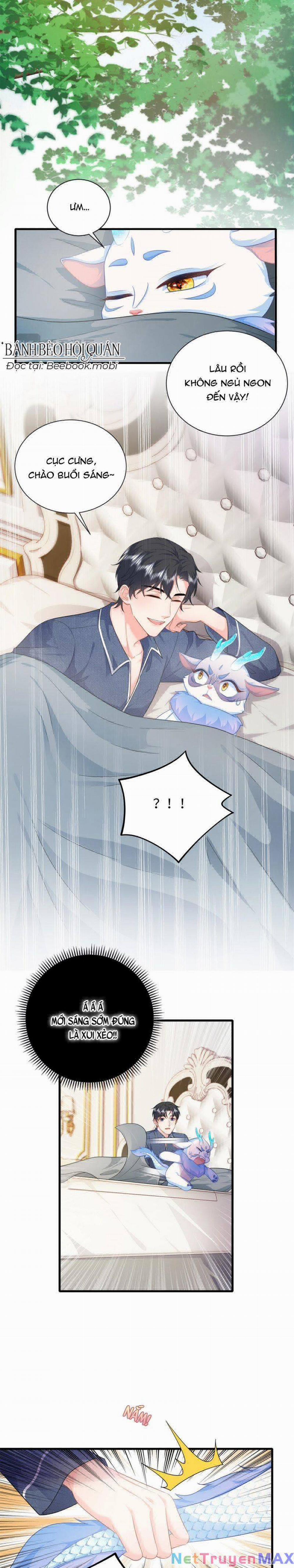 Bé Rồng Đột Kích! Mami Vừa Cay Vừa Độc 16 trang 5