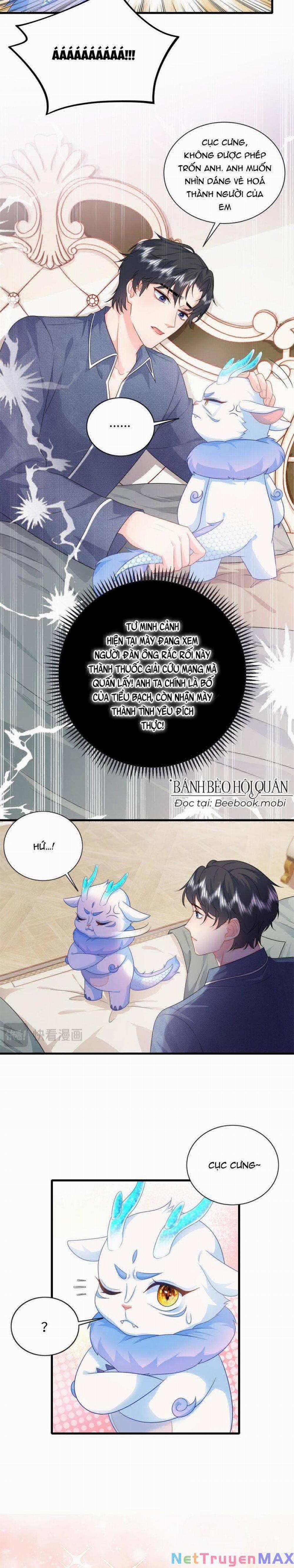 Bé Rồng Đột Kích! Mami Vừa Cay Vừa Độc 16 trang 6