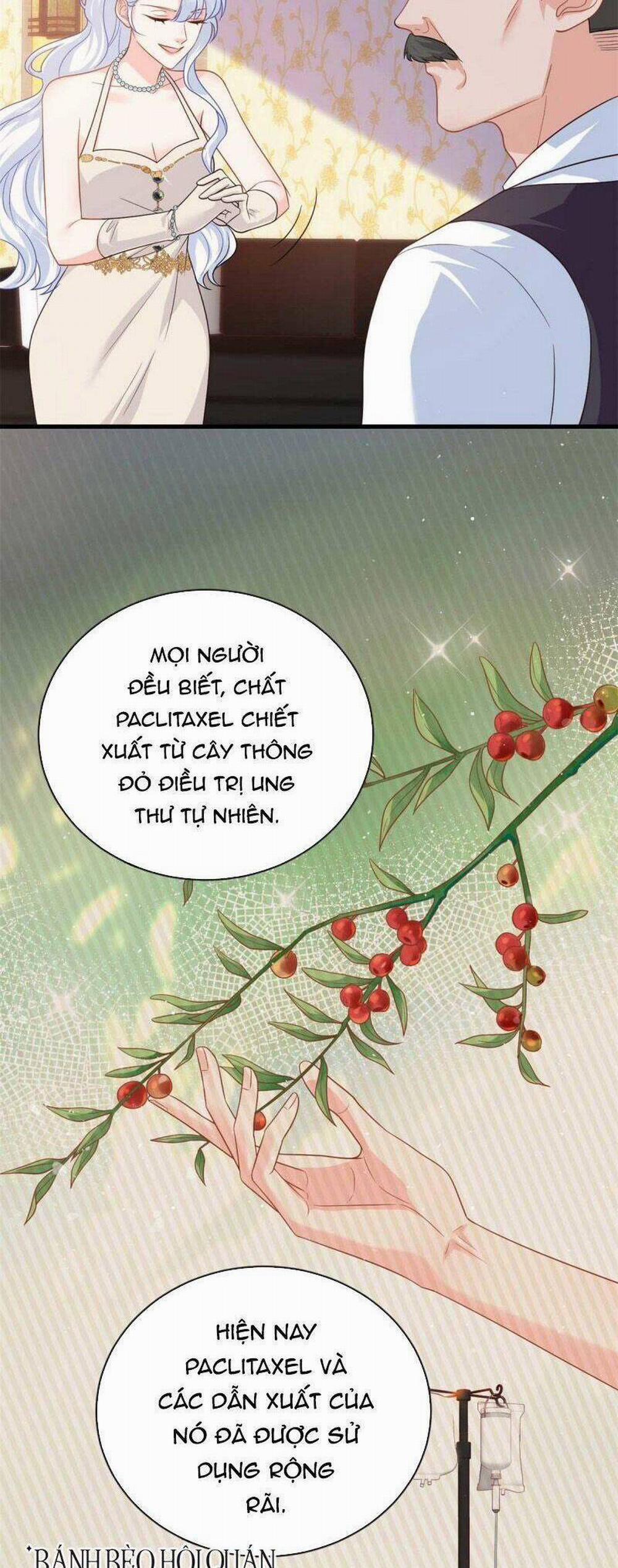 Bé Rồng Đột Kích! Mami Vừa Cay Vừa Độc 22 trang 8