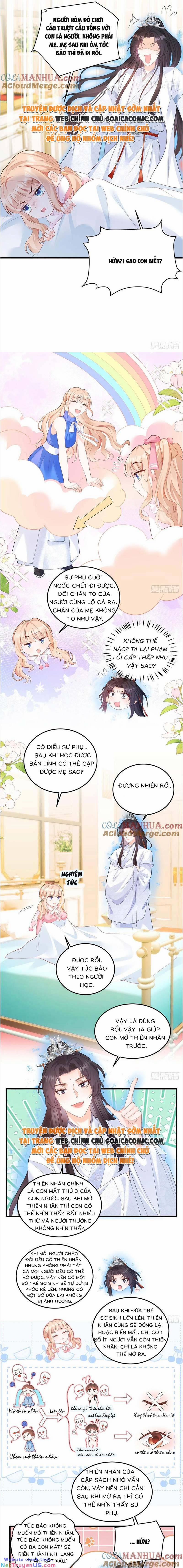 Bé Thóc Đáng Thương Được Tám Người Cậu Tranh Sủng 11 trang 5