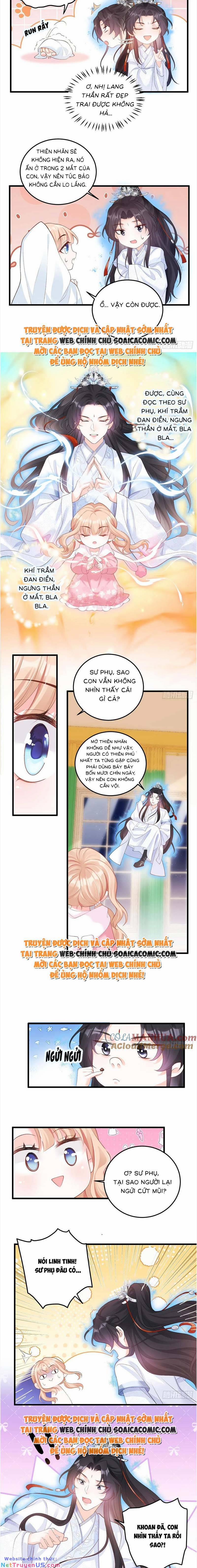 Bé Thóc Đáng Thương Được Tám Người Cậu Tranh Sủng 11 trang 6