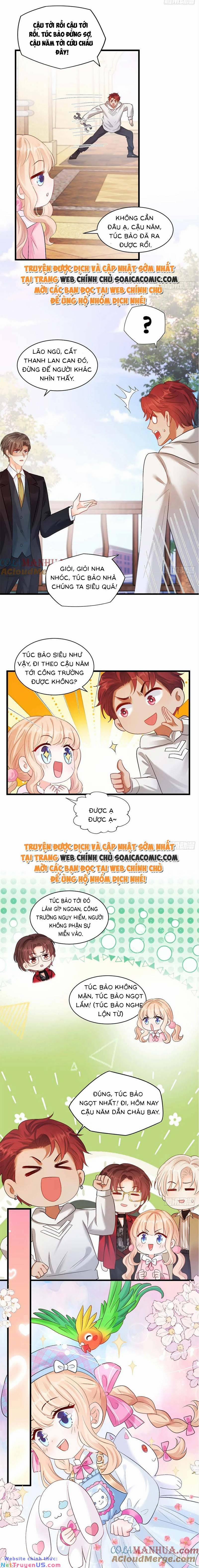 Bé Thóc Đáng Thương Được Tám Người Cậu Tranh Sủng 12 trang 3