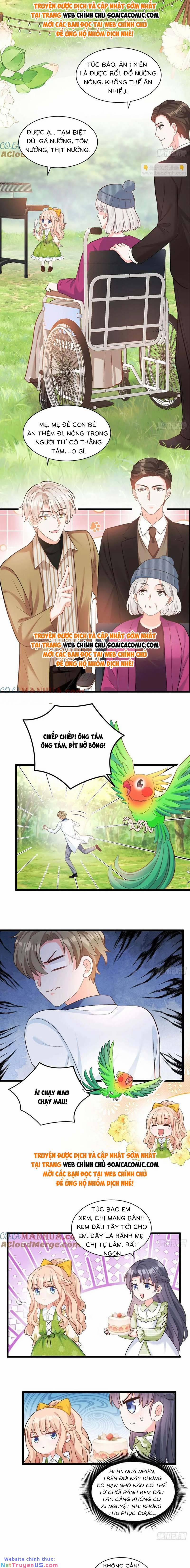 Bé Thóc Đáng Thương Được Tám Người Cậu Tranh Sủng 17 trang 6