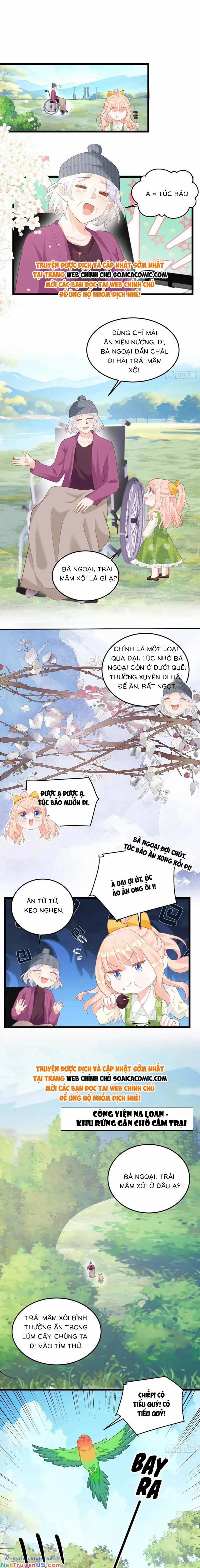 Bé Thóc Đáng Thương Được Tám Người Cậu Tranh Sủng 18 trang 4