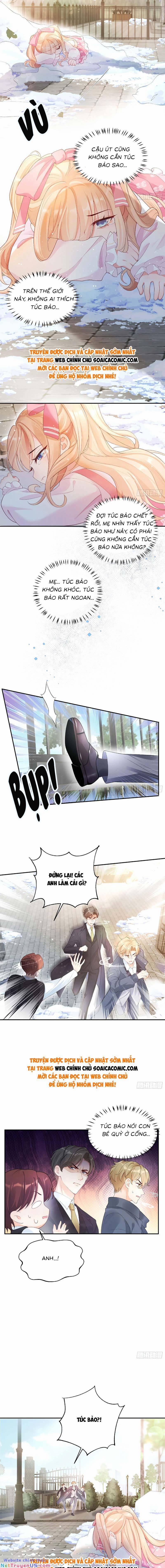 Bé Thóc Đáng Thương Được Tám Người Cậu Tranh Sủng 2 trang 1