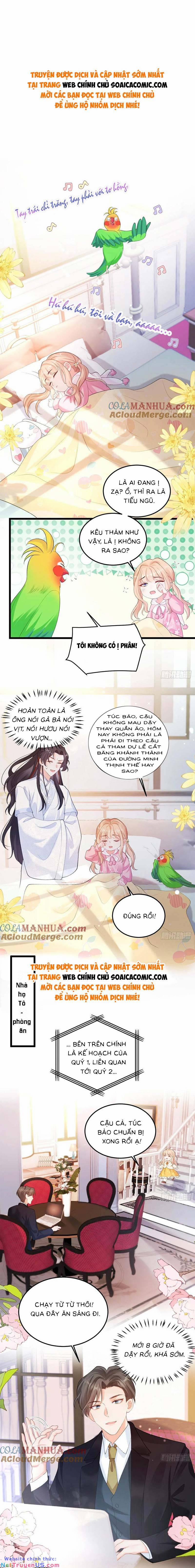 Bé Thóc Đáng Thương Được Tám Người Cậu Tranh Sủng 22 trang 0