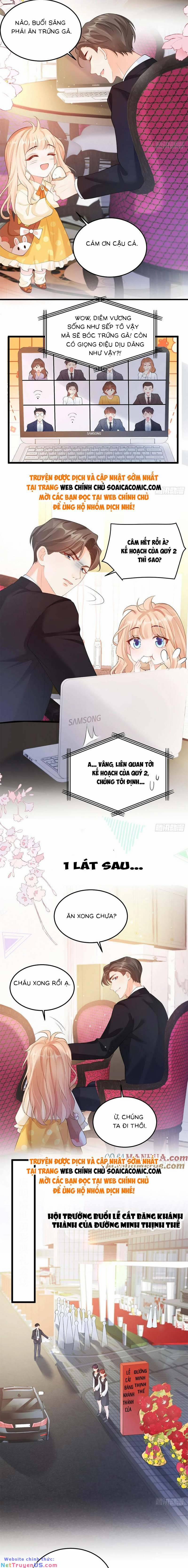 Bé Thóc Đáng Thương Được Tám Người Cậu Tranh Sủng 22 trang 1