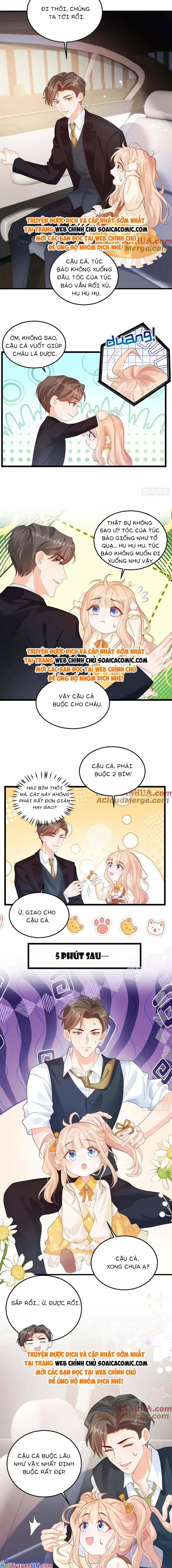 Bé Thóc Đáng Thương Được Tám Người Cậu Tranh Sủng 22 trang 2