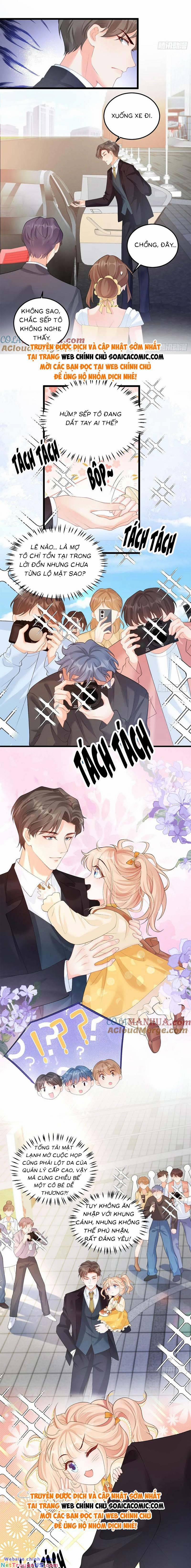 Bé Thóc Đáng Thương Được Tám Người Cậu Tranh Sủng 22 trang 4