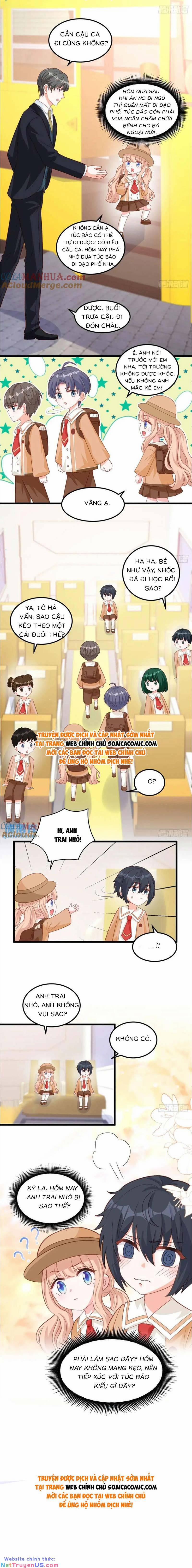 Bé Thóc Đáng Thương Được Tám Người Cậu Tranh Sủng 27 trang 6