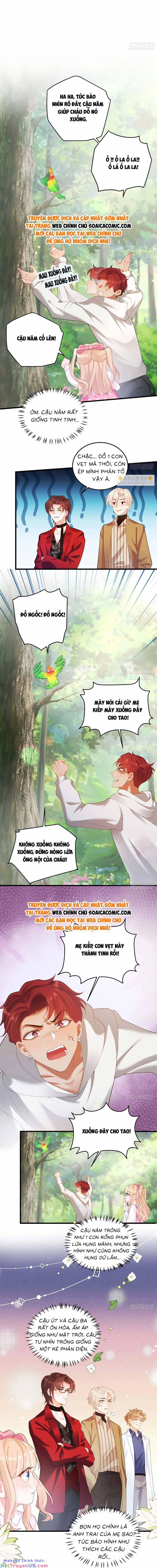 Bé Thóc Đáng Thương Được Tám Người Cậu Tranh Sủng 5 trang 4