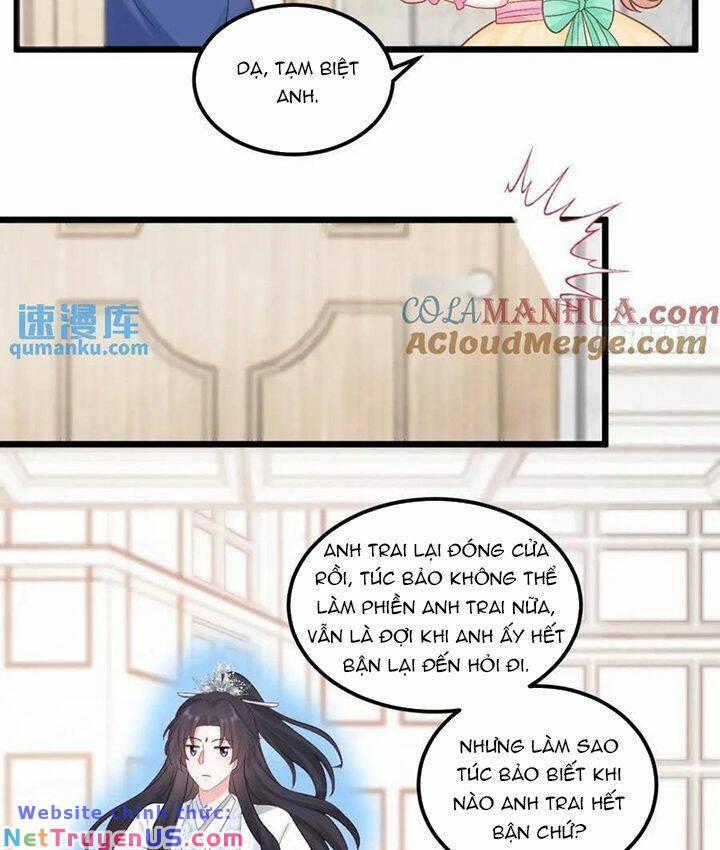 Bé Thóc Đáng Thương Được Tám Người Cậu Tranh Sủng 53 trang 17