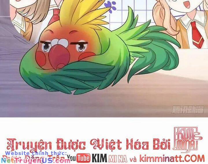 Bé Thóc Đáng Thương Được Tám Người Cậu Tranh Sủng 56 trang 29