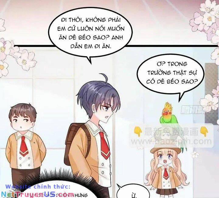 Bé Thóc Đáng Thương Được Tám Người Cậu Tranh Sủng 58 trang 0