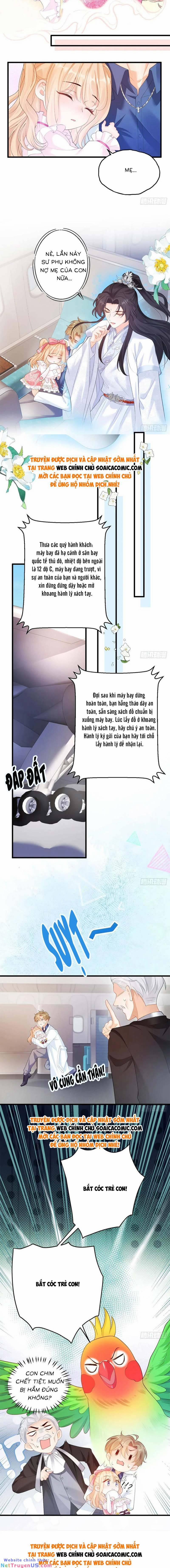 Bé Thóc Đáng Thương Được Tám Người Cậu Tranh Sủng 6 trang 4