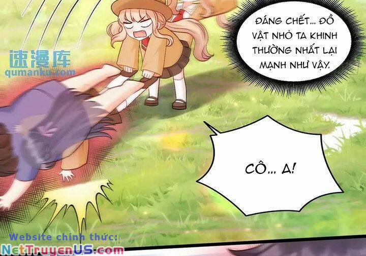 Bé Thóc Đáng Thương Được Tám Người Cậu Tranh Sủng 62 trang 35