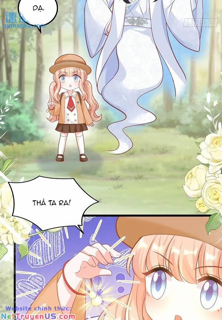 Bé Thóc Đáng Thương Được Tám Người Cậu Tranh Sủng 63 trang 13