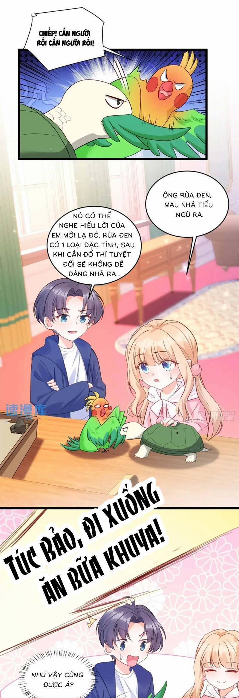 Bé Thóc Đáng Thương Được Tám Người Cậu Tranh Sủng 69 trang 6