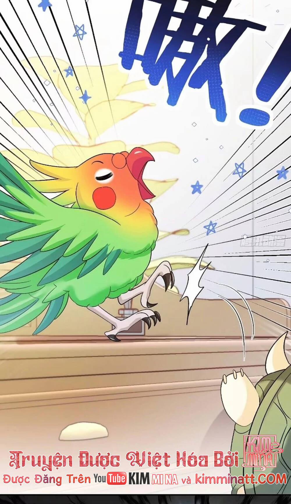 Bé Thóc Đáng Thương Được Tám Người Cậu Tranh Sủng 81 trang 1