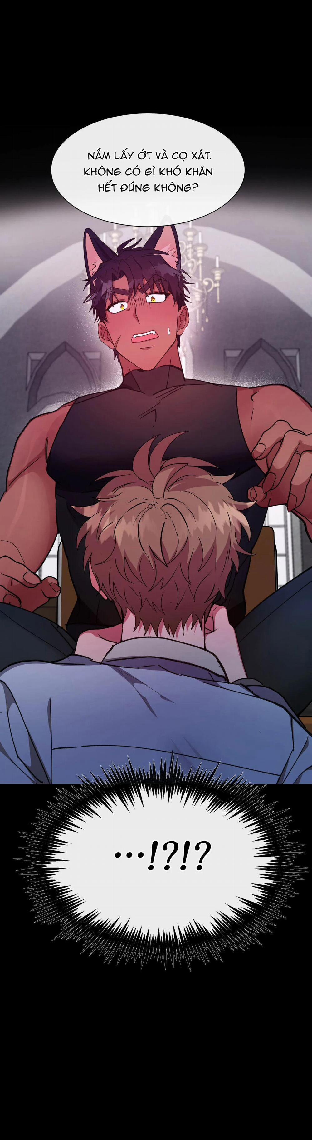 Bên Trong Lâu Đài 13 trang 11